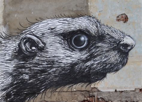 Roa Rabbit, Wild Hackney Project & Street Art on Hackney Road