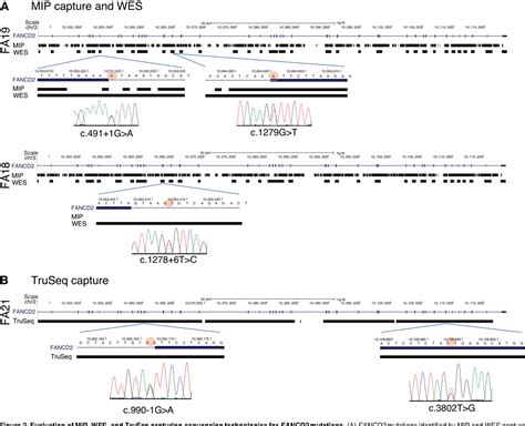 Figure 1 From Massively Parallel Sequencing Acgh And Rna Seq Technologies Provide A