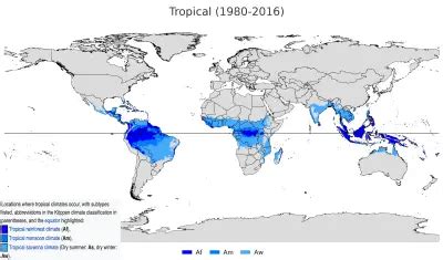 Tropical climate animals