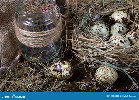 De Easter Vida Ainda Ovos De Codorniz No Ninho E Na Tabela De Madeira