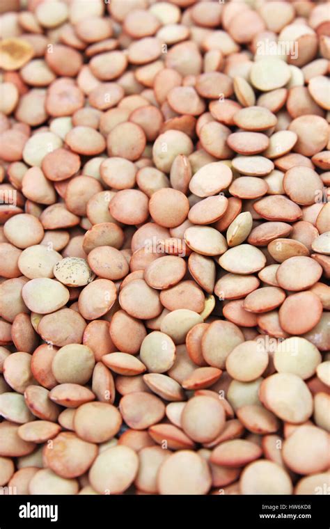 Lentil Pattern Hi Res Stock Photography And Images Alamy