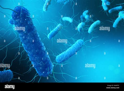 D Illustration Enterobacterias Gramm Negativas Proteobakterien