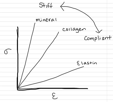 Chapter 3 Material Properties Physics For Introductory Biology