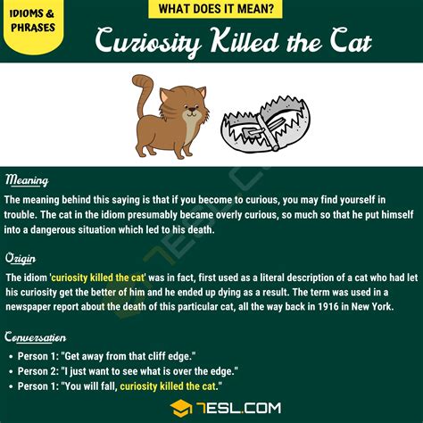 "Curiosity Killed the Cat" Meaning, Origin and Examples • 7ESL