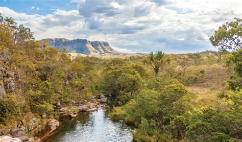 Chapada dos Veadeiros National Park - World Tribune