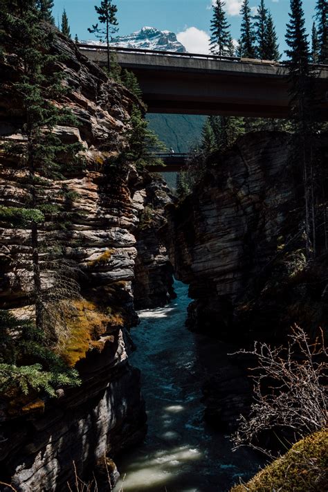Crossing into Canada on Behance