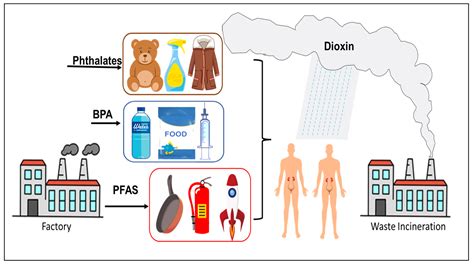 Toxics Free Full Text The Relationship Between Typical