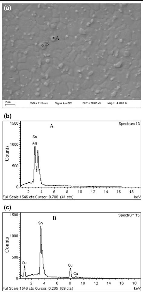 A Representative Sem Micrograph Showing The Microstructure Of The