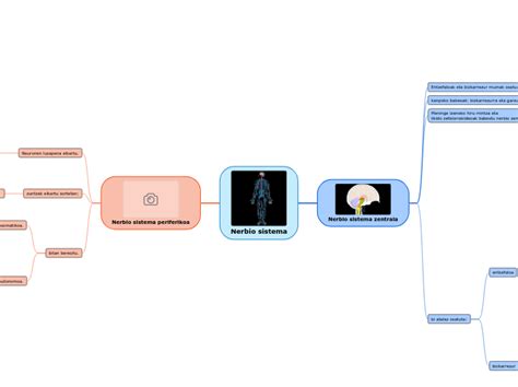 Nerbio Sistema Mind Map