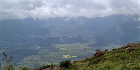 Velliangiri Hills - A beautiful monsoon trip! | Happy Botanist