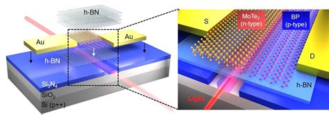 On Chip Photodetection Two Dimensional Material Heterojunctions