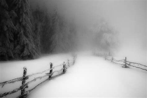 Wallpaper Trees Landscape Forest Nature Snow Road Branch Cold