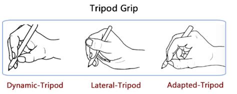 Types of pencil grips