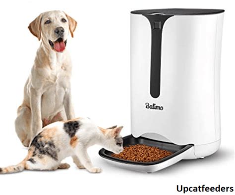 Top 5 Best Large Automatic Dog Feeder For Large Dogs Reviews - UpCatFeeders