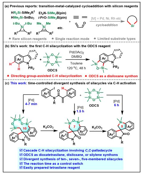 四硅烷用于时间控制的钯催化C H活化发散性合成硅杂环化合物 X MOL资讯