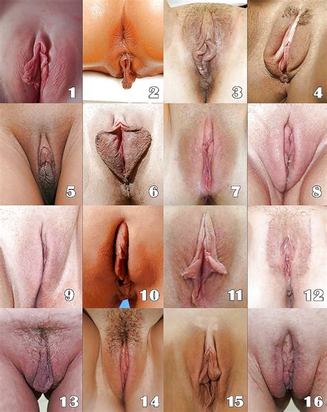 Select Your Favorite Pussy Shape 7 Pics Xhamster