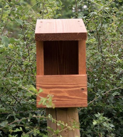 Best Position For Robin Nesting Box