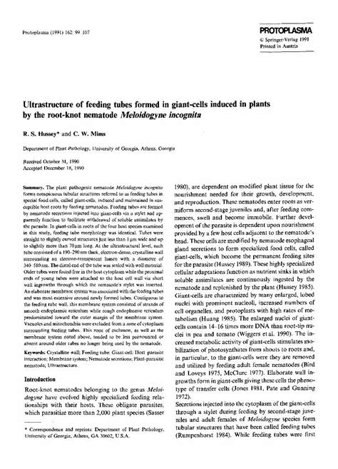 Pdf Ultrastructure Of Feeding Tubes Formed In Giant Cells Induced In