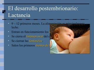 Desarrollo Embrionario PPT