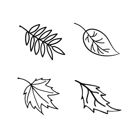 Premium Vector Vector Set Autumn Leaves Doodle Style Black And White