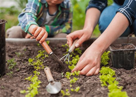 Les 12 outils de jardin incontournables pour un potager réussi