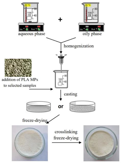 Materials Free Full Text Lyophilized Emulsions In The Form Of 3d