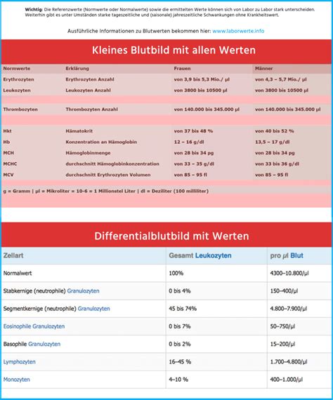 ᐅ Laborwerte Blutwerte Blutbild und Befunde richtig verstehen