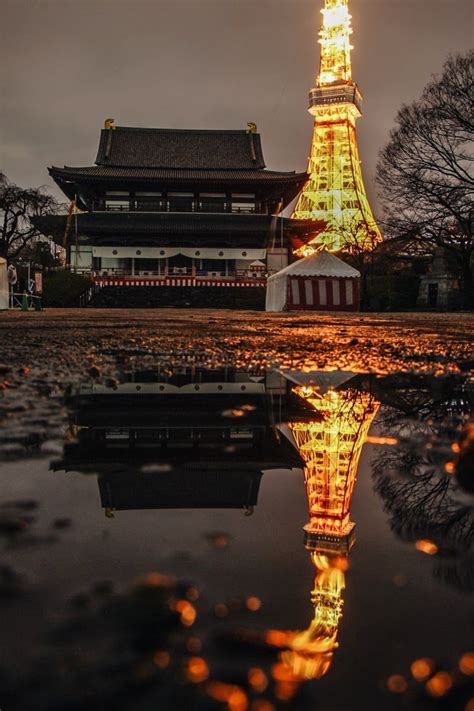 夜の増上寺、火灯るタワー Ganref