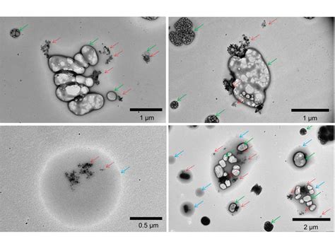 Ambient Aerosols Image Eurekalert Science News Releases