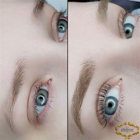 Nano Brows Vs Microblading Whats The Difference Ellebrow Studio