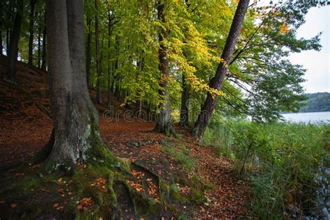 Autumn in German Mountains and Forests - Some German Average Mountains ...