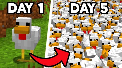 Minecraft Chicken Breeding Race YouTube