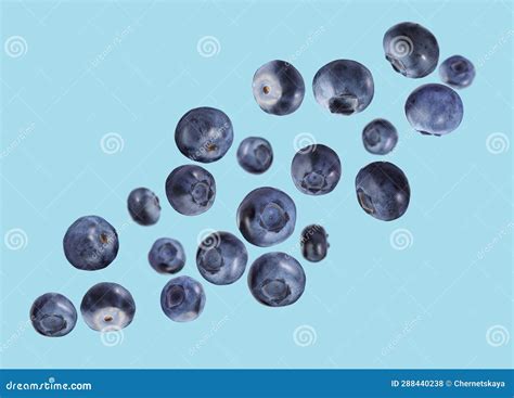 Many Ripe Blueberries Falling On Light Blue Background Stock Photo