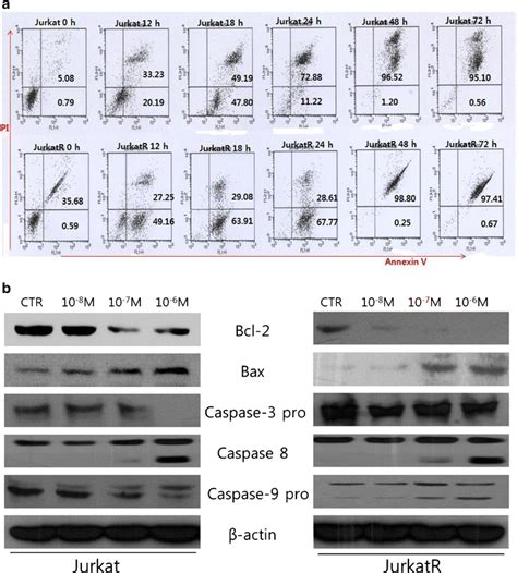 KML001 Induced Apoptosis In Jurkat And JurkatR Cells A Induction Of