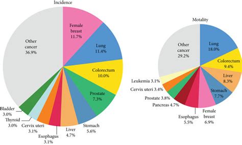 Distribution Of Cancer Incidence And Mortality Among Different Types Of