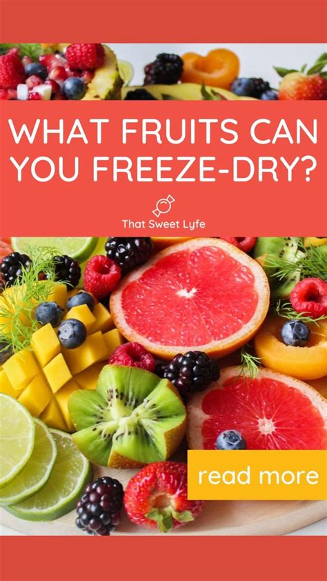 What Fruits Can You Freeze Dry Freeze Drying Tips That Sweet Lyfe Artofit