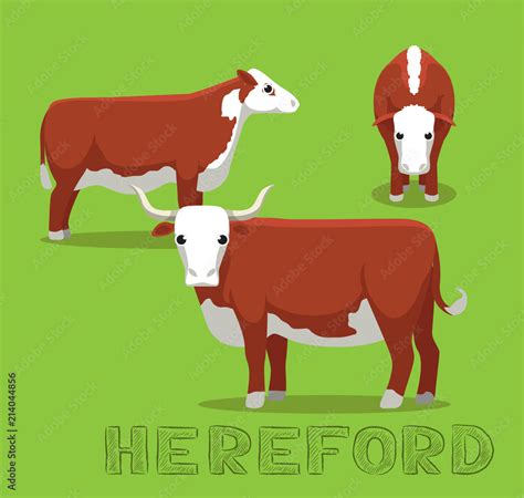 Cow Hereford Cartoon Vector Illustration Stock Vector | Adobe Stock