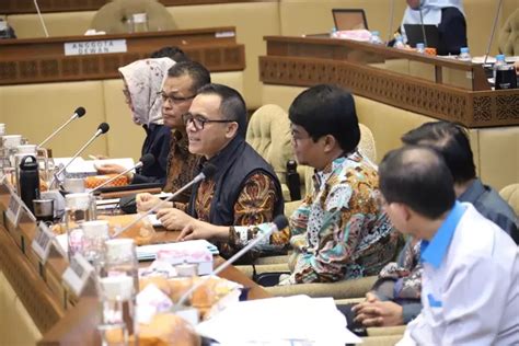 Penjelasan Bkn Soal Tenaga Honorer Yang Diangkat Pppk Ternyata