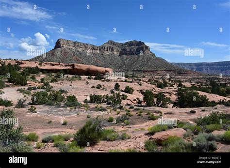 Tuweep Campground And Surroundings In Grand Canyon National Park