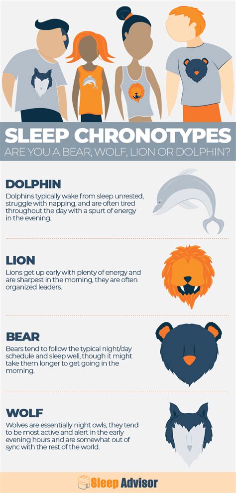 Sleep Chronotypes -Are You a Bear, Wolf, Lion, or Dolphin? - Sleep Advisor | Better sleep, How ...