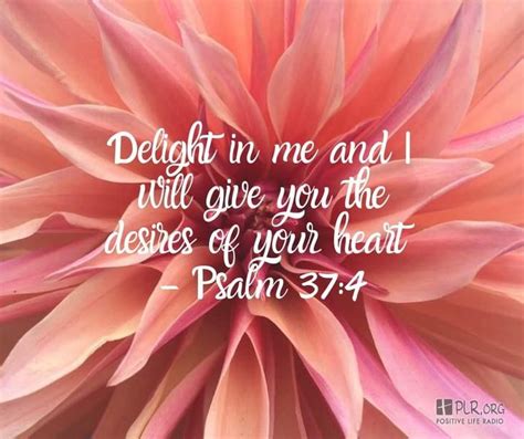 Pin By Lisa Davidson On Favorite Bible Verse S Favorite Bible Verses