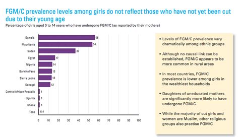 Female Genital Mutilation Cutting A Statistical Overview And