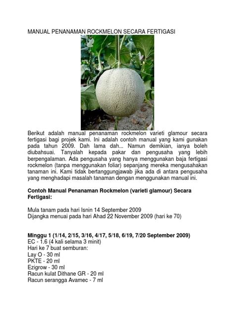 Manual Penanaman Rockmelon Secara Fertigasi Pdf