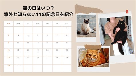 猫の日はいつ？意外と知らない11の記念日を一覧で紹介【2024年版】 猫と生き笑うためのブログ