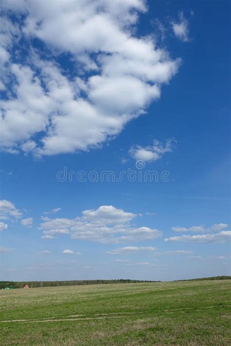 Campo Verde Y Cielo Azul Con Las Nubes Paisaje Hermoso Imagen De