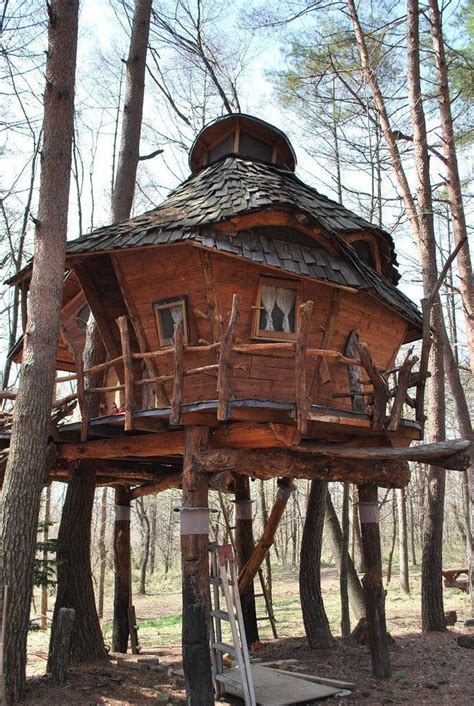 The 10 Coolest Homes In The Treetops Cool Tree Houses Tree House Tree House Designs