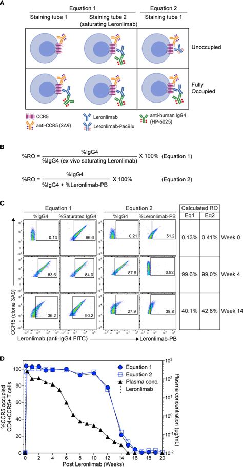 Frontiers Ccr Receptor Occupancy Analysis Reveals Increased