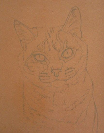 Chat Aux Pastels Secs Cindy Barillet Dessiner Au Pastel Sec Pastel