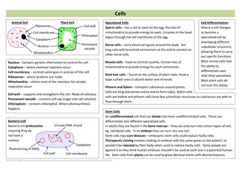 Cells Revision Sheet New Aqa Teaching Resources