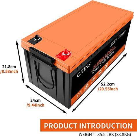 New Chins V Ah Lifepo Lithium Battery Built In A Bms